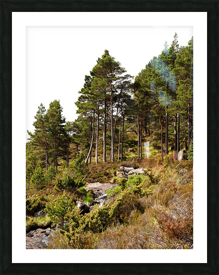  Scottish Highlands Wild Places                                                                                                                     Picture Frame print