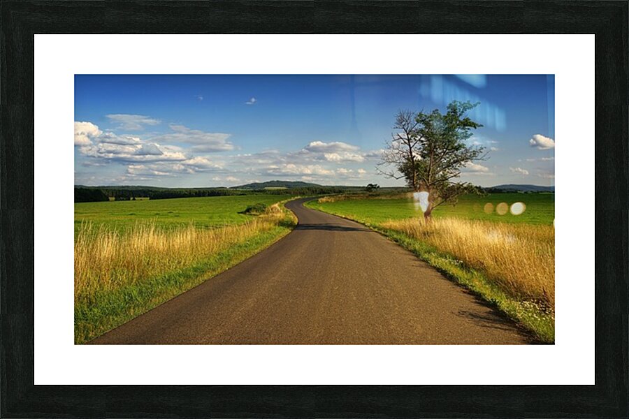  Fine Art print