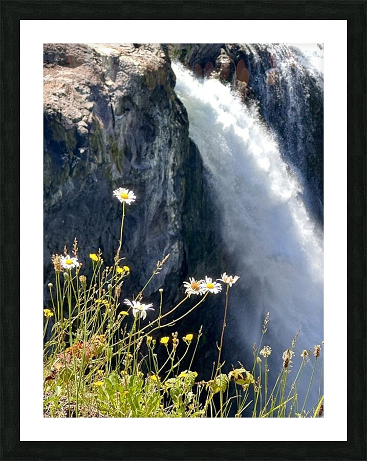 Snoqualmie falls through the Daiseys Picture Frame print