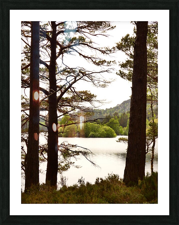Loch Side View in the Scottish Highlands  Picture Frame print
