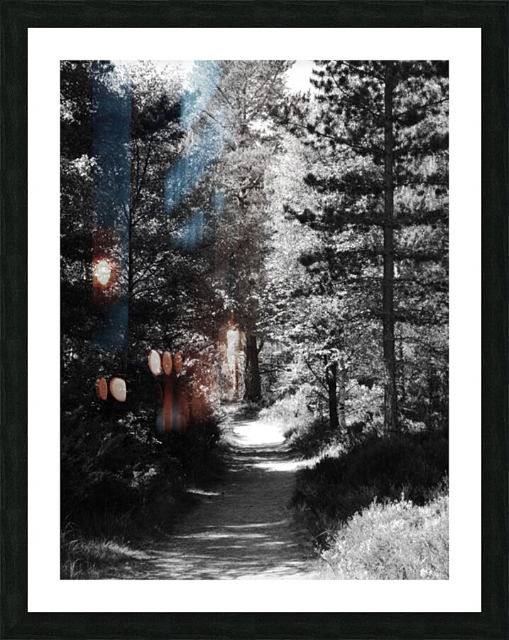 Summer Monochrome Walk through the Scottish Highlands Picture Frame print