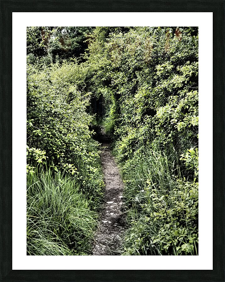 Secret Trail through the Scottish Highlands                                                                                                                      Picture Frame print