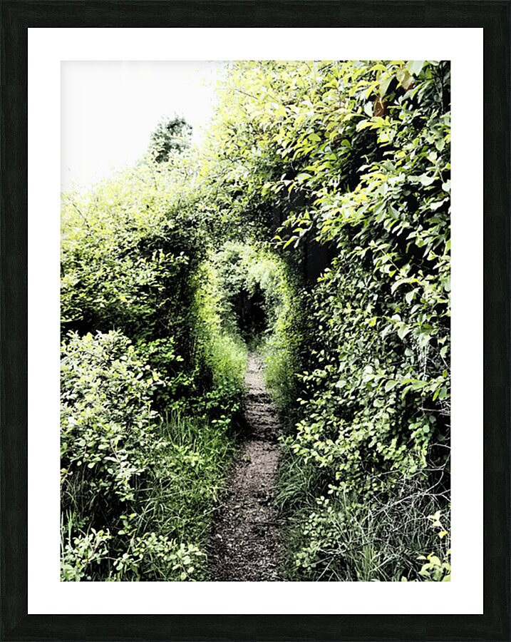 Natures Flow through the Scottish Highlands                                                                                                                      Picture Frame print