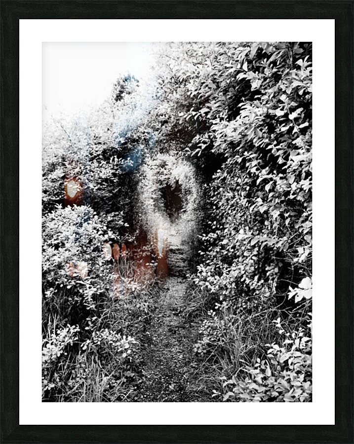   Natures Corridor through the Scottish Highlands                                                                                                                      Picture Frame print