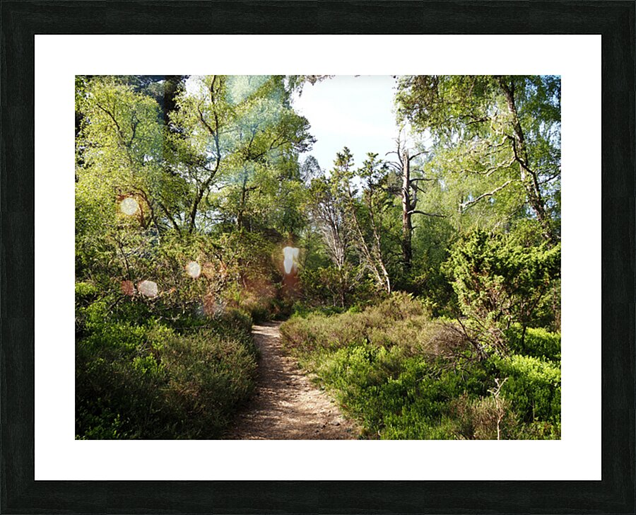  Springs Salute for the Scottish Highlands                                                                                                                     Picture Frame print