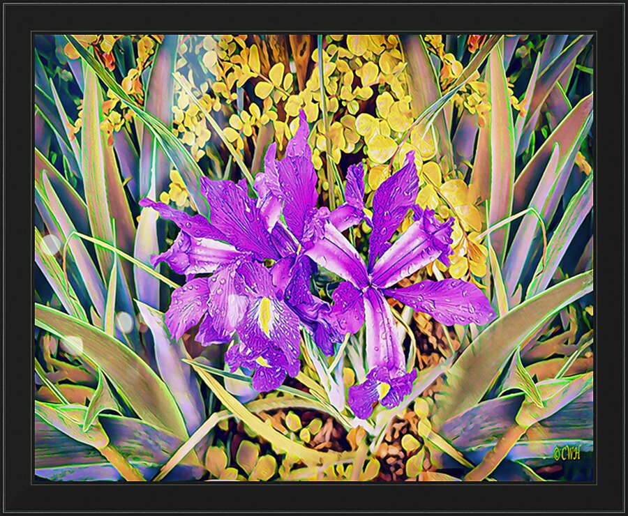 FLORAL RAIN_Holt_REZN888  Framed Print Print