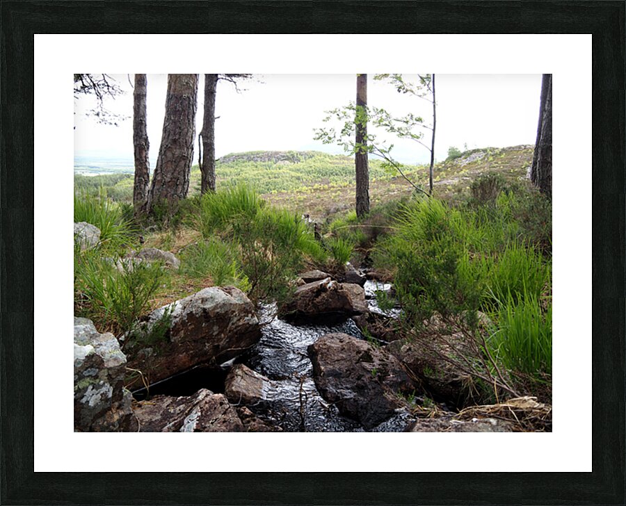  The Burn in the Scottish Highlands                                                                                                                     Picture Frame print