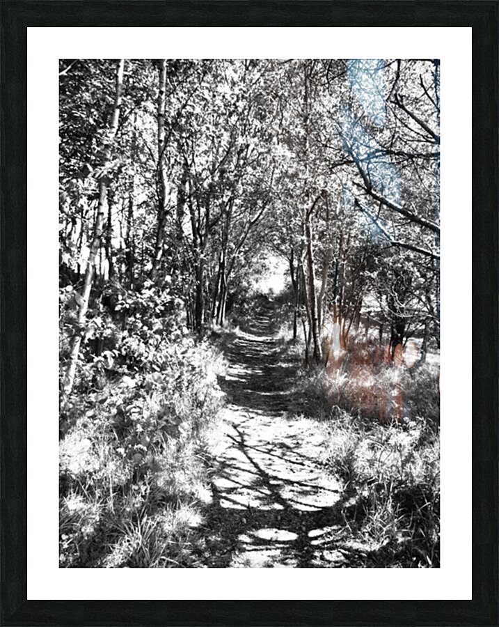 Monochrome Path in the Scottish Highlands                                                                                                                      Picture Frame print