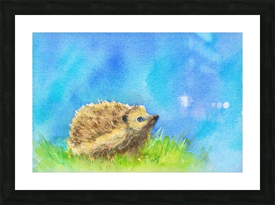 Hedgehog in spring watercolor painting Picture Frame print