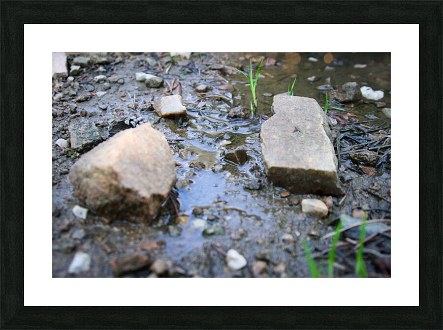  Fine Art print