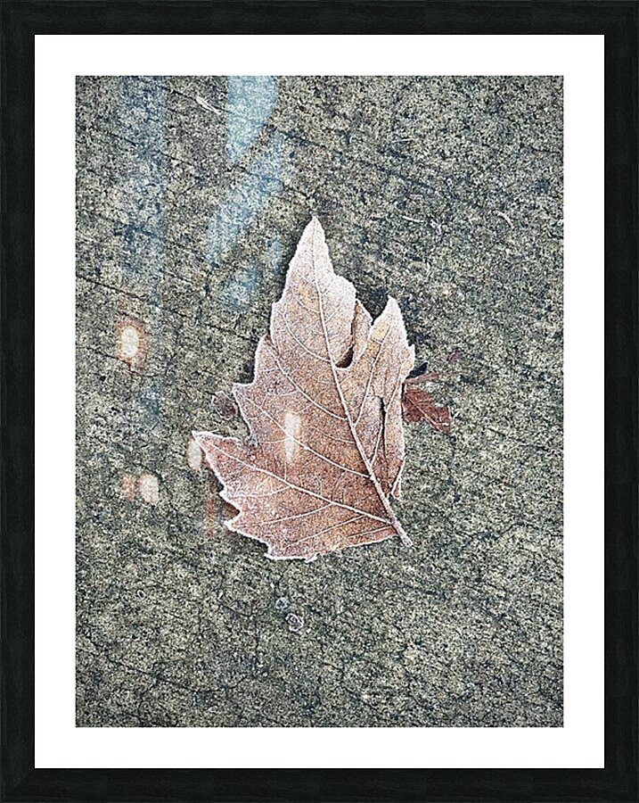  Fine Art print