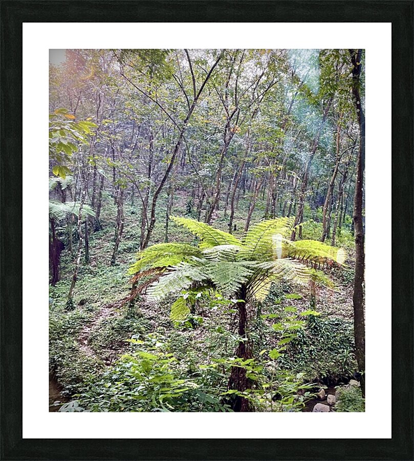  Fine Art print