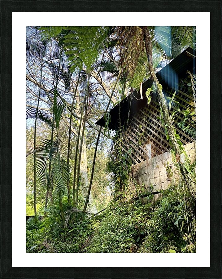  Fine Art print