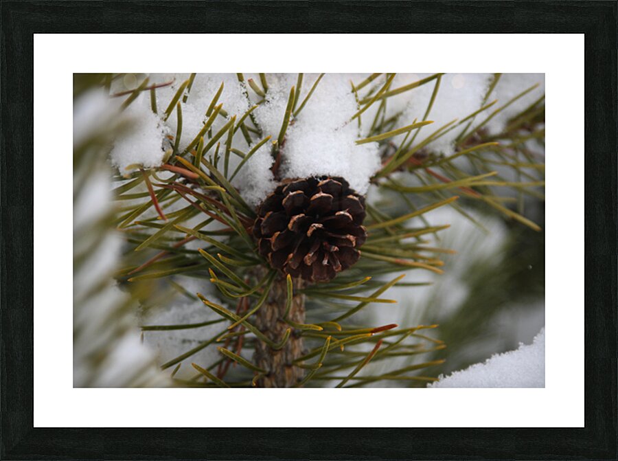  Fine Art print