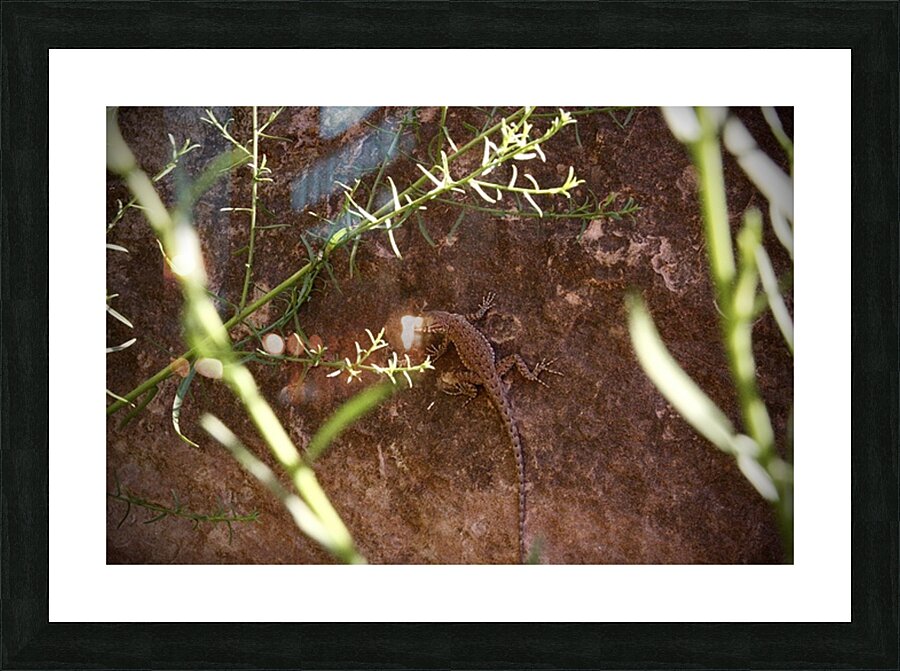  Fine Art print