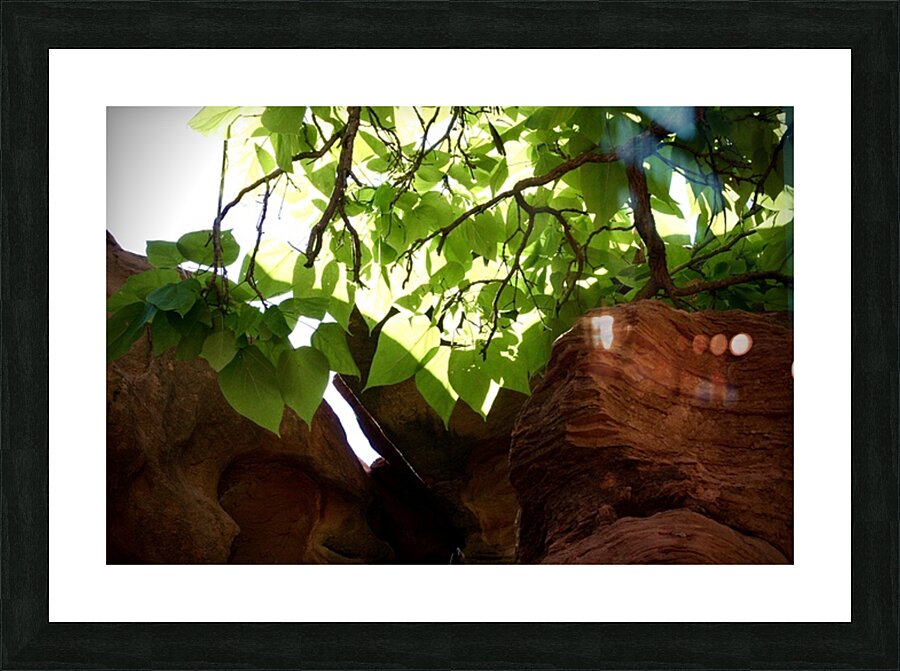  Fine Art print