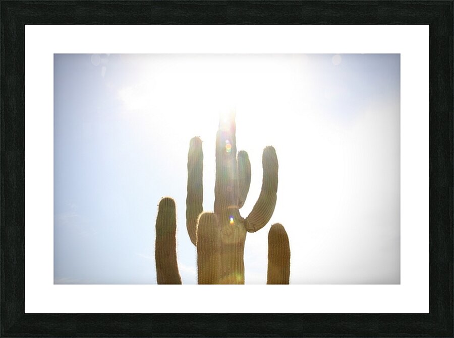  Fine Art print