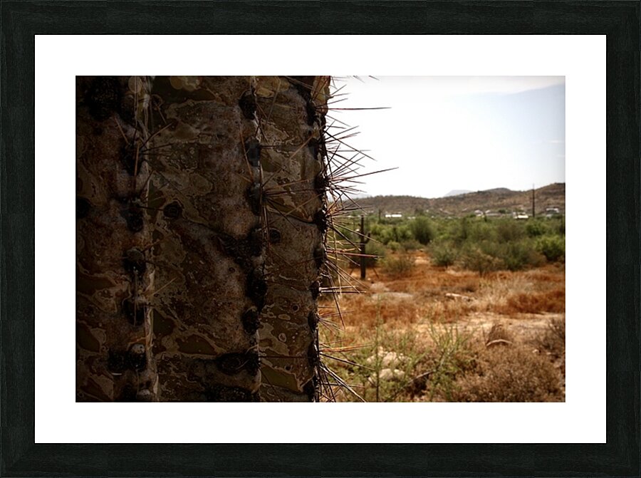  Fine Art print
