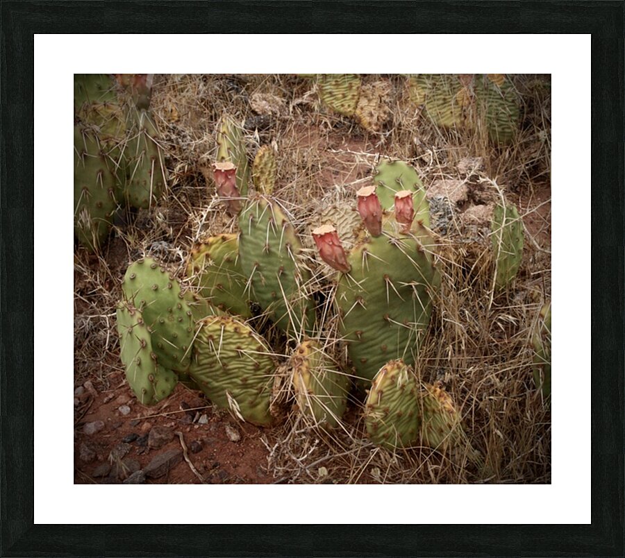  Fine Art print