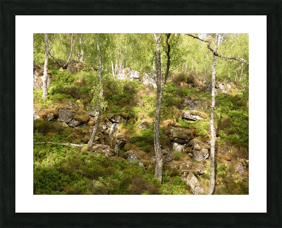 Scottish Highlands Fairy Tale Summer Picture Frame print