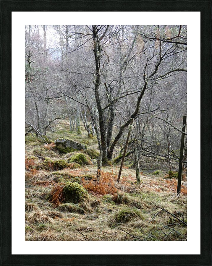 Scottish Highlands Winters Longing Picture Frame print