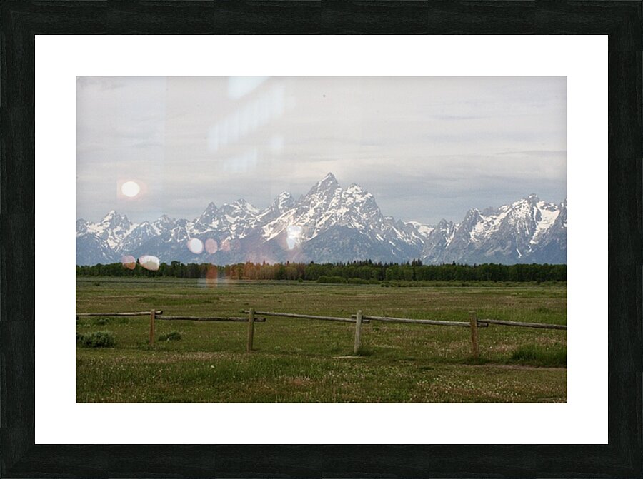  Fine Art print