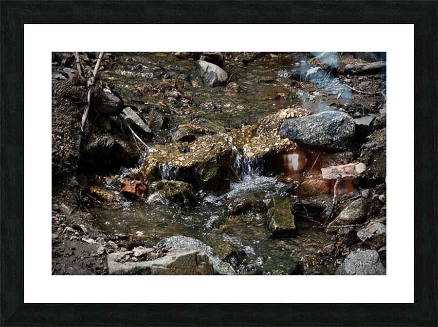  Fine Art print