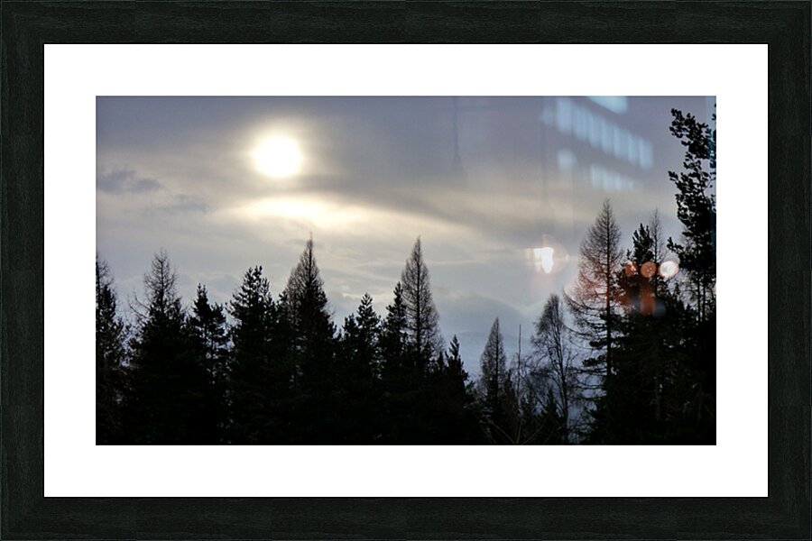 Winter Pine Silhouettes  Picture Frame print