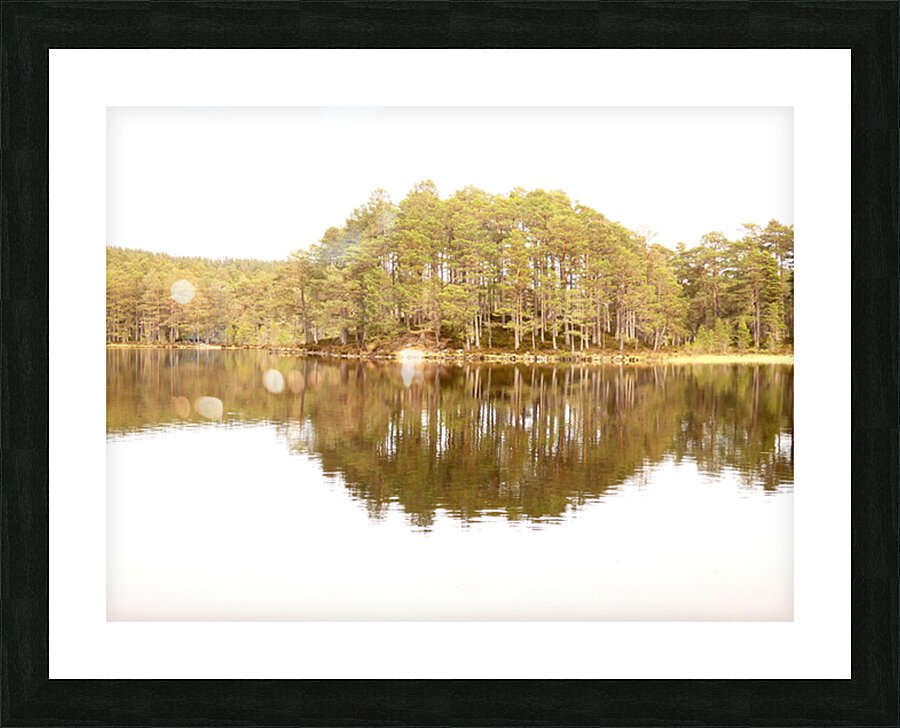 Scottish Highlands Forest Reflection  Picture Frame print