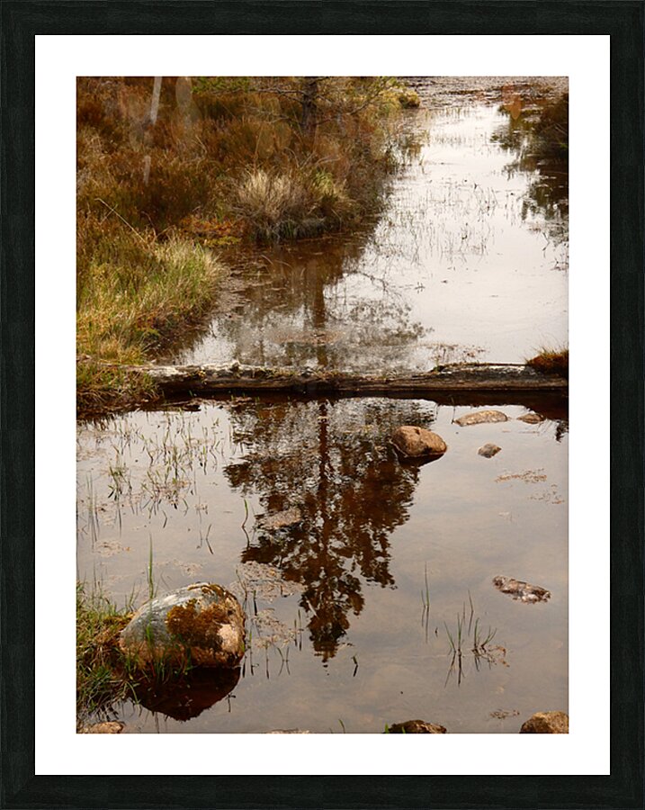 Scottish Highlands Pines Reflections Picture Frame print