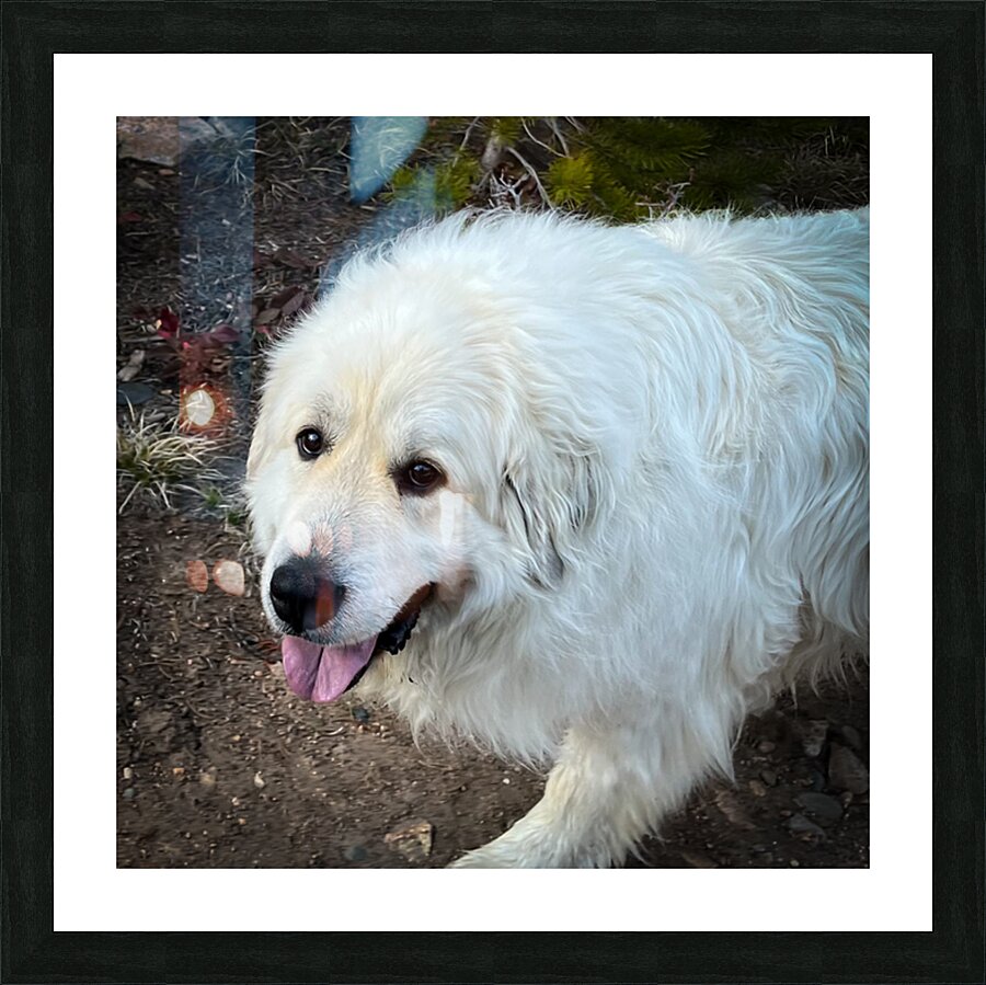  Fine Art print
