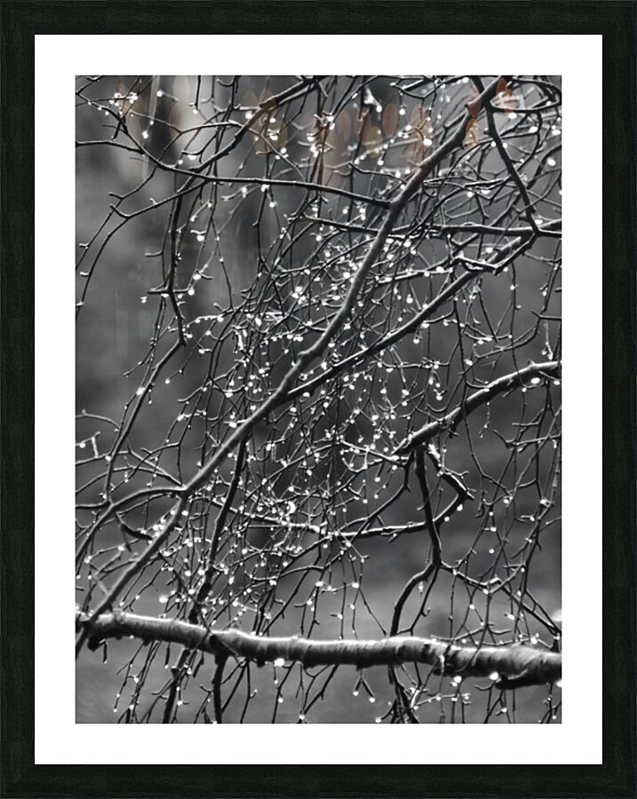 Monochrome Tear Drops Picture Frame print