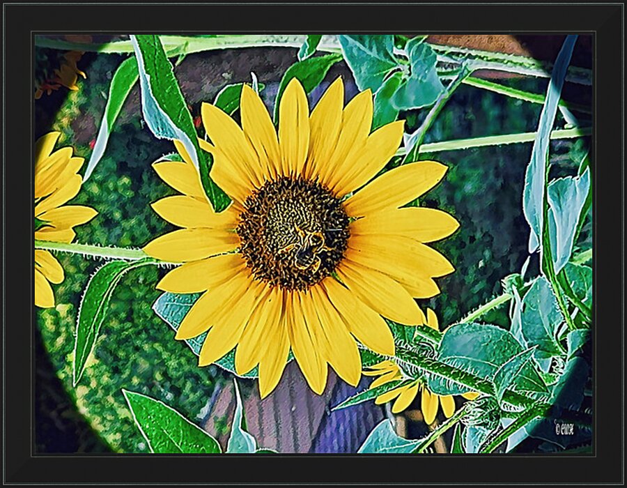 BEEtiful RezN888 Holt Picture Frame print