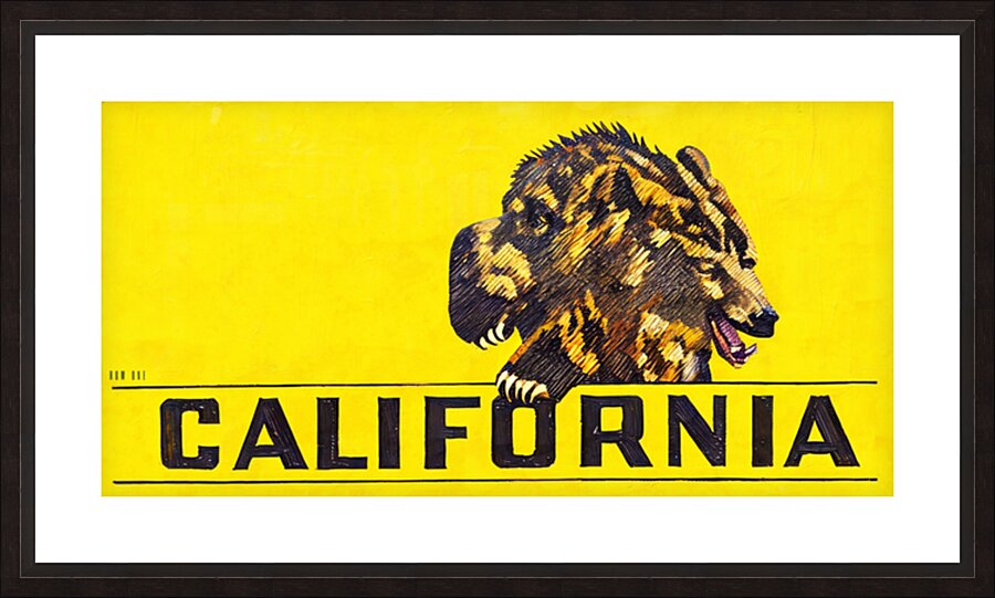 1940 California Golden Bear Art  Framed Print Print