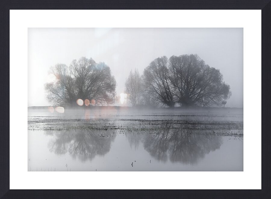  Fine Art print