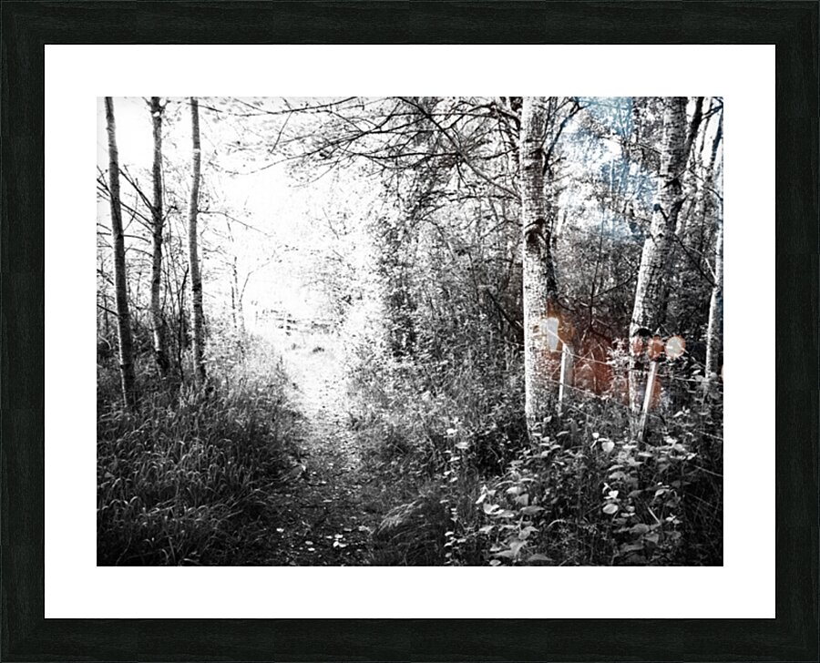 Black and White Walk through the Scottish Highlands                                                                                                                     Picture Frame print