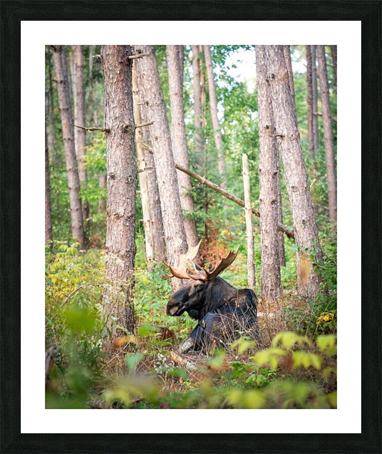 lookintomysoul8x10NEEDSTP Picture Frame print