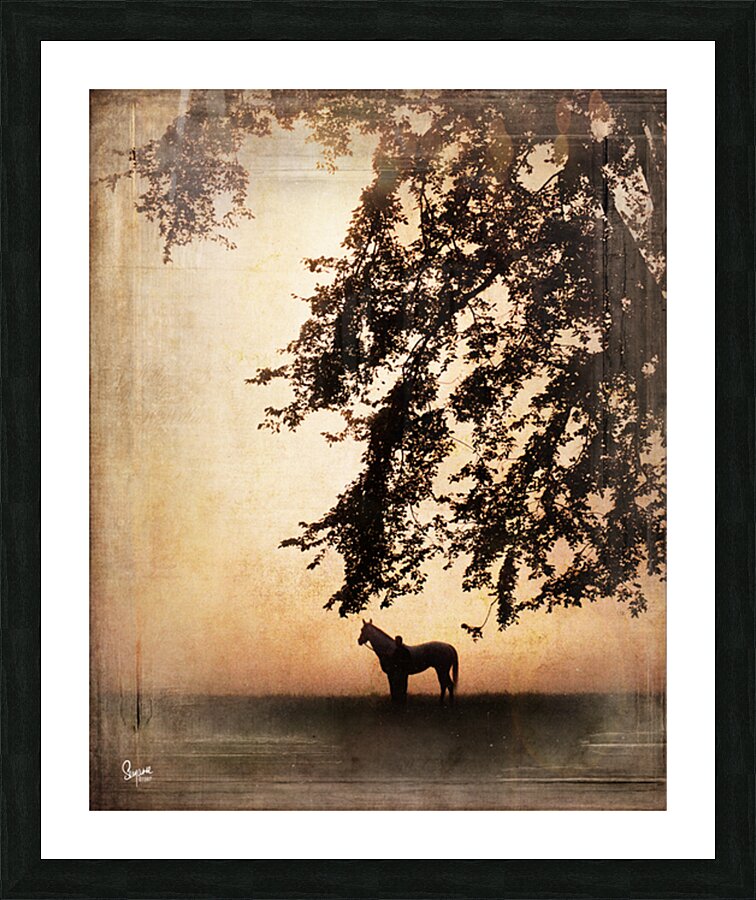 Misty Morning Picture Frame print