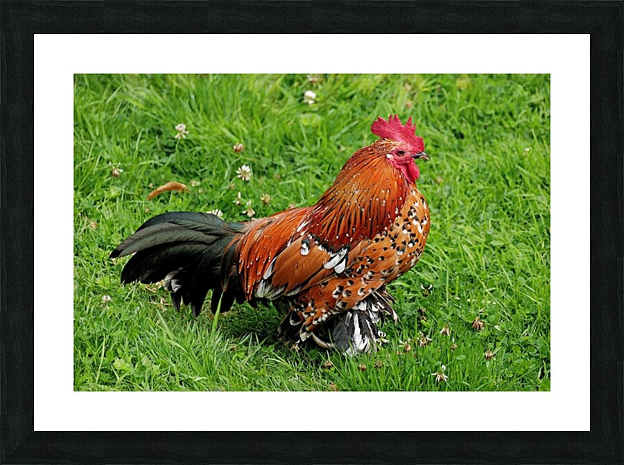 Fine Art print