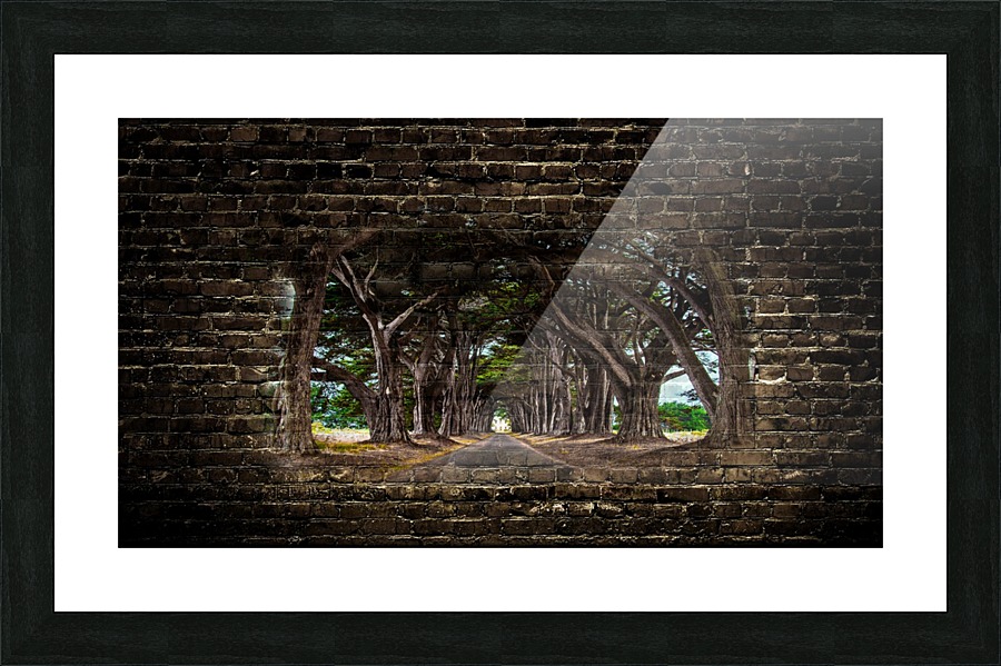 Intertwined  Framed Print Print