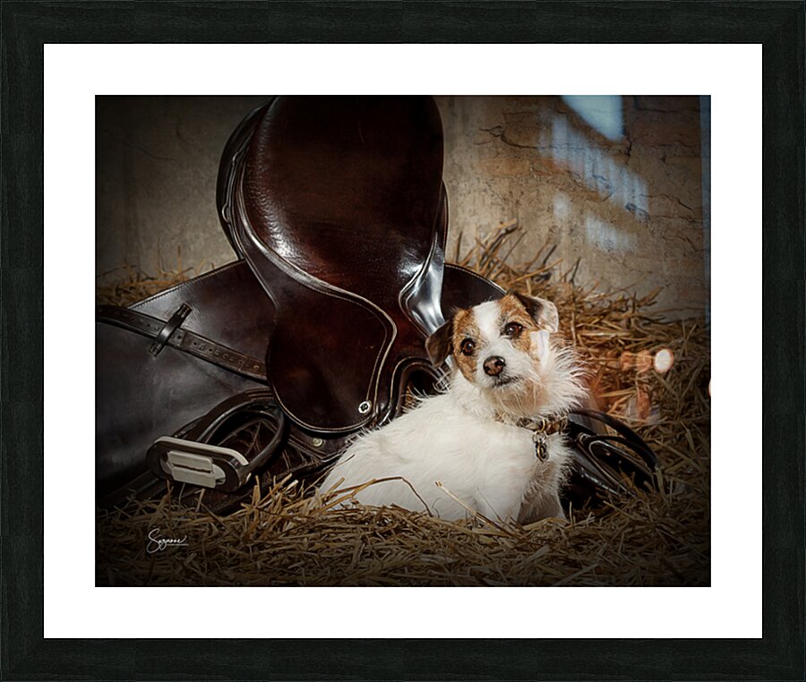 Barnyard Friends 2 Picture Frame print