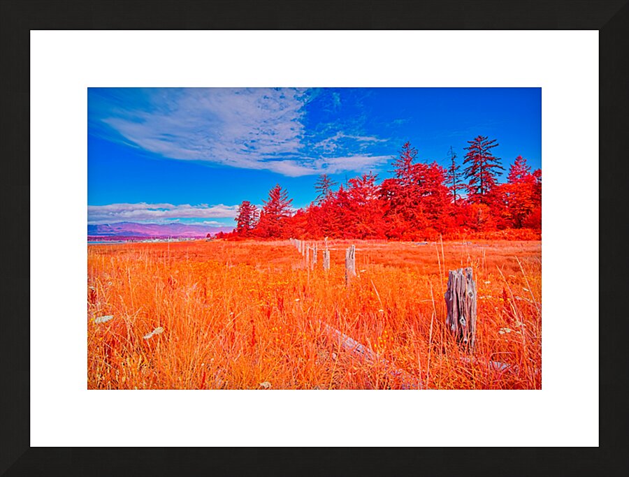 Old Fence Line Picture Frame print