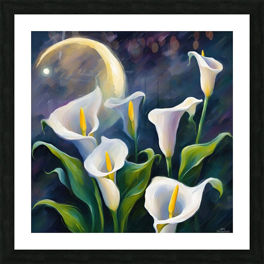 Moon shining over Calla Lily flowers  Impressionism style Picture Frame print