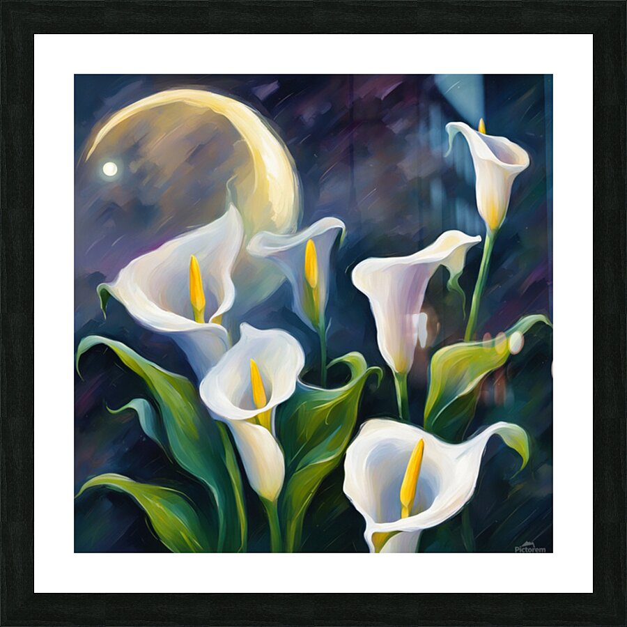 Moon shining over Calla Lily flowers  Impressionism style Picture Frame print