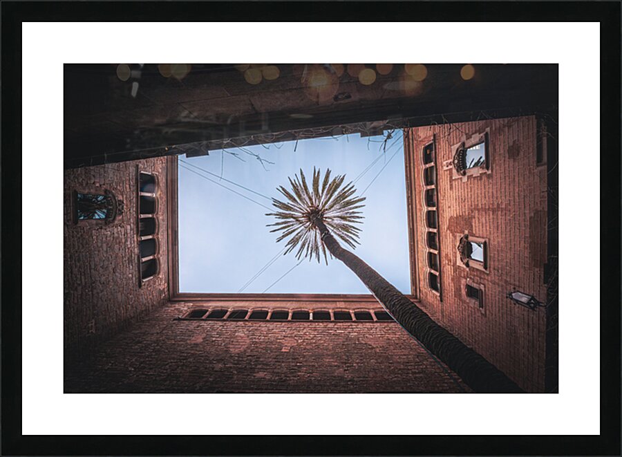  Fine Art print