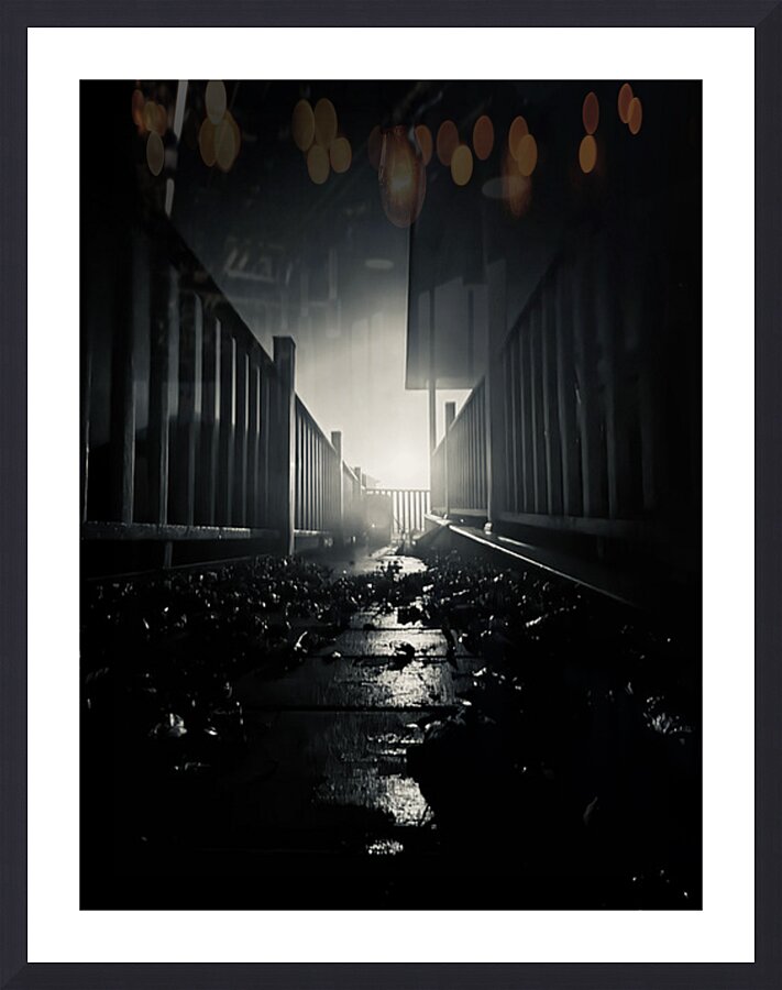  Fine Art print