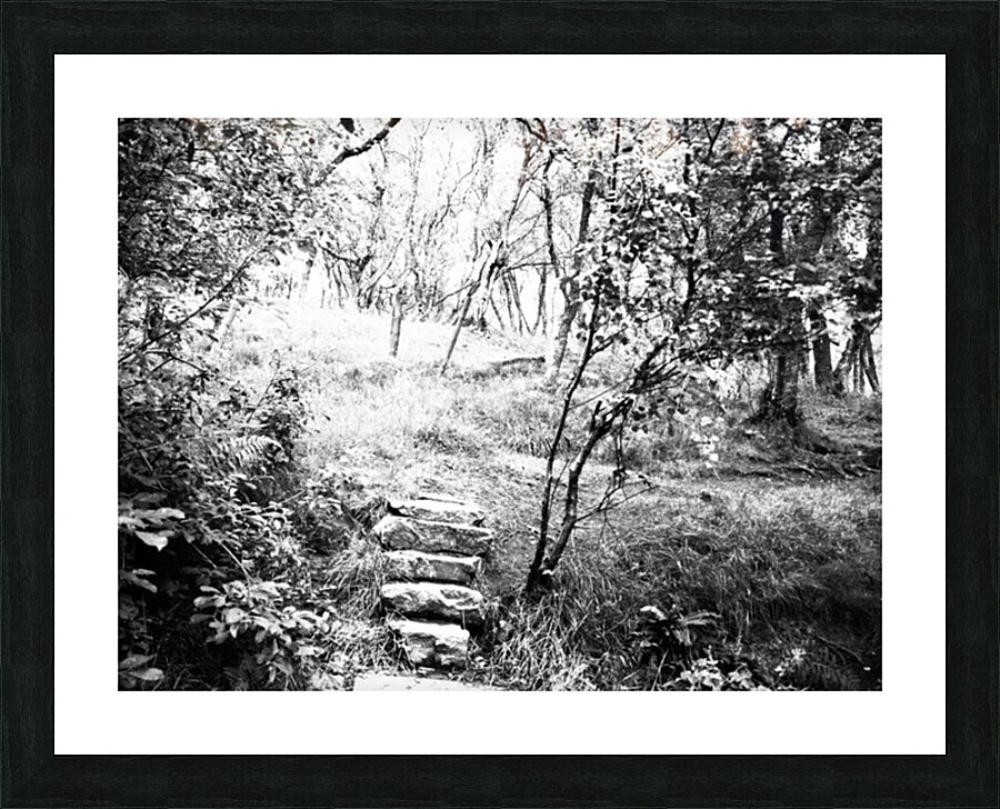  Natures Upward Flight through the Scottish Highlands                                                                                                                     Picture Frame print