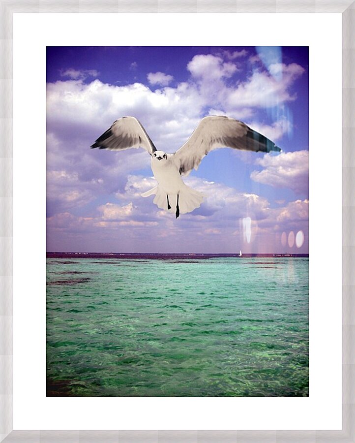  Fine Art print