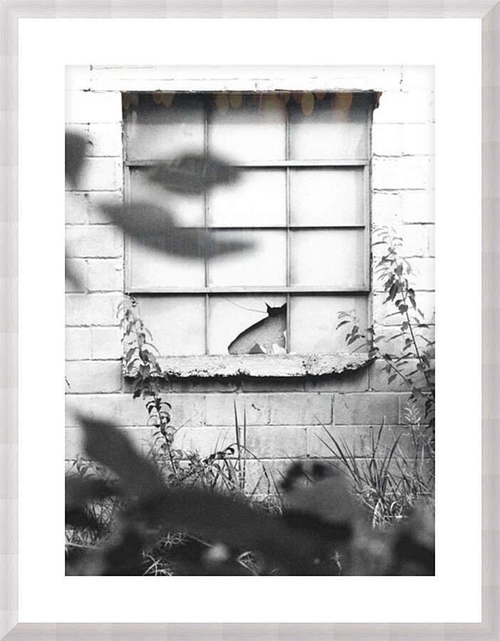 Fine Art print