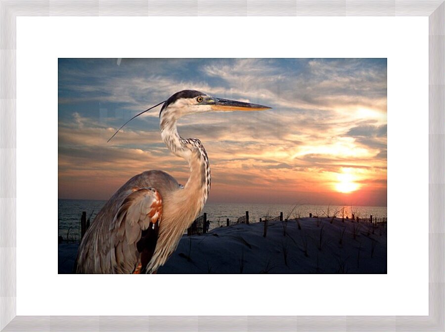  Fine Art print